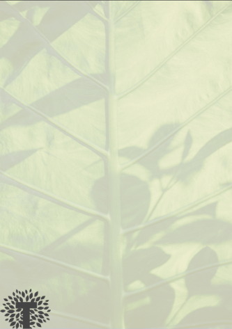 1623395501178226.png 图片17.png